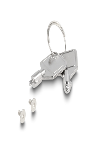 Delock Interface adapter - M.2 - 47042