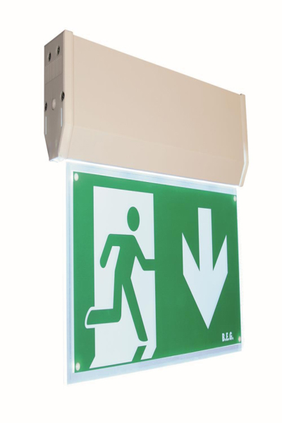 B.E.G. Brück LED evacuation sign 3h DT32/6/3DALI-LED - 1210