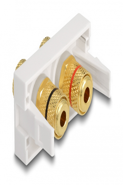 Delock Easy 45 - snap-in-moduler - 81397