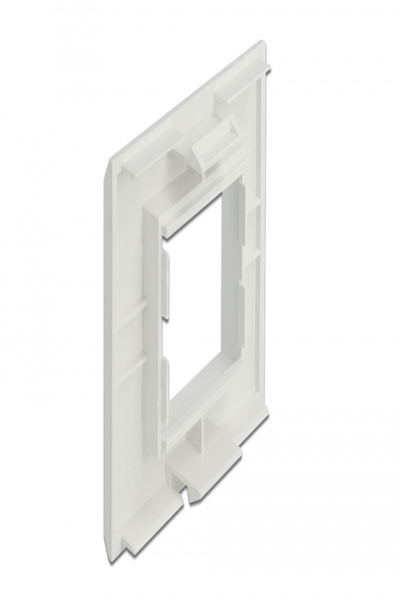 Delock Easy 45 - cadre - 2 modules