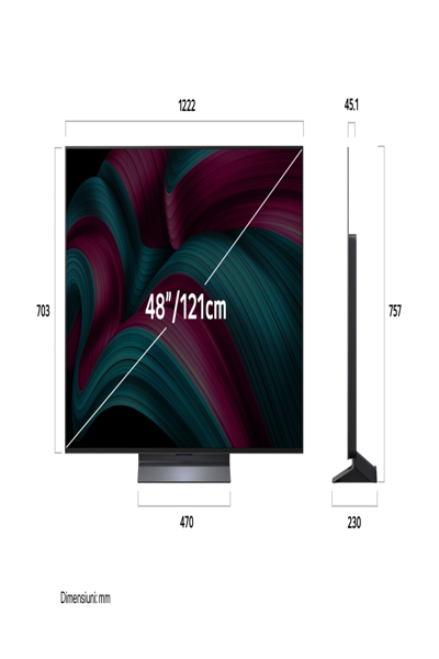 LG OLED EVO AI OLED48C51LA TV 48" 4K - OLED48C51LA