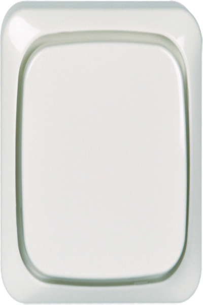 Schneider Electric AP - Interrupteur universel blanc 561604