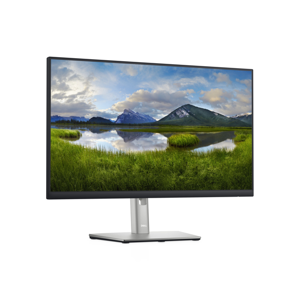 DELL P2422H - LED-Monitor - (23.8") 210-AZYX - 210-AZYX