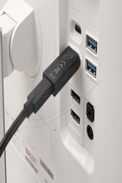 Delock USB Type-C to DisplayPort Adapter 8K with HDR and HDCP Support - Adapter - Digital - 61078