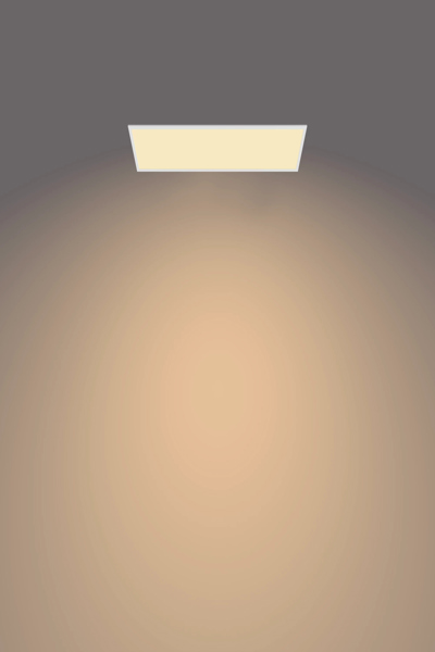 Philips Functional Panel Ceiling Ceiling Light 36 W Rectangular - LED - Non-changeable bulb(s) - 3300 lm - IP20 - White