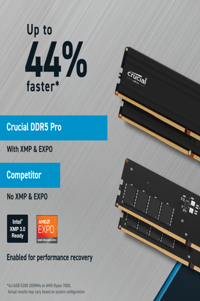Crucial Pro - DDR5 - module - 48 GB - CP48G56C46U5