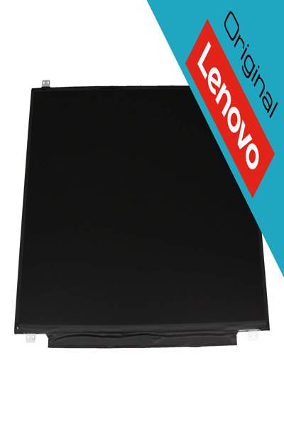 Lenovo Display AUO 17.3FHD IPS AG - Flat Screen - 00NY668