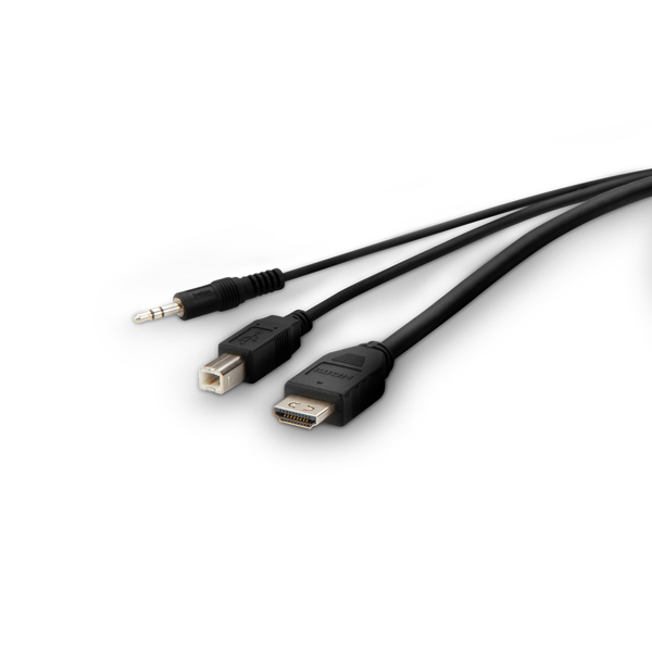 Belkin TAA HDMI to High Retention KVM Combo - F1DN1CCBL-HH10T
