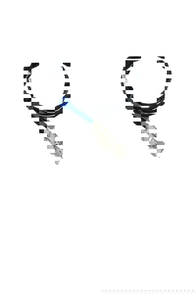 Lenovo BlueOptics 00YL848 1m Mini-SAS HD SFF-8644 - 00YL848-BL