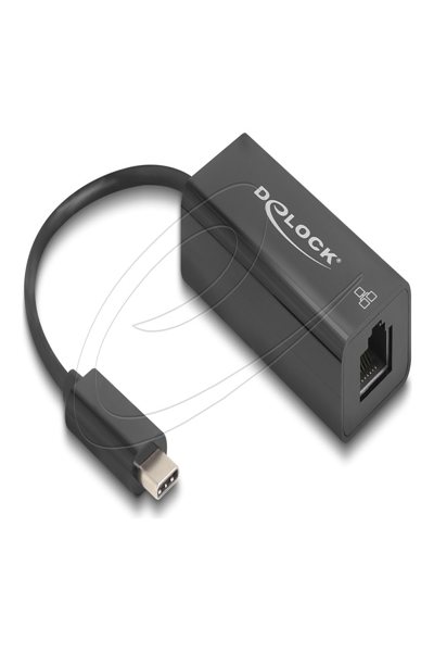 Delock USB 2.0 Type-C Adapter zu 10/100 Mbps LAN - Adapter - Digital - 64306
