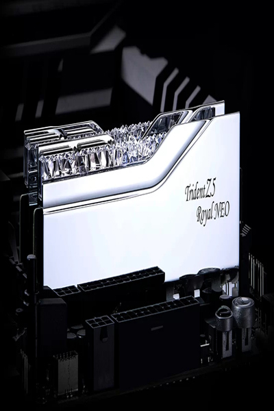 F5-6000J2836G16GX2-TR5NS - F5-6000J2836G16GX2-TR5NS