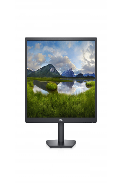 Dell SE2422H 24" LED monitor - 210-AZGT