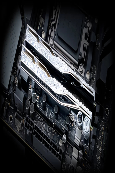 G.Skill DIMM 96GB DDR5-6000 Silver TZ5 Royal Neo - F5-6000J2836F48GX2-TR5NS