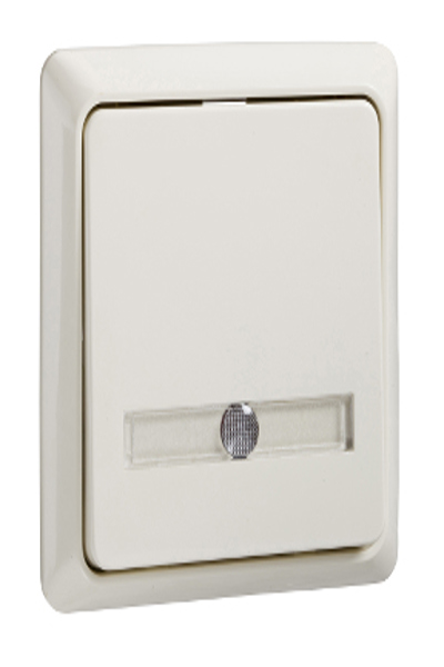 Boutons Schneider 506110 thermoplastique nacré