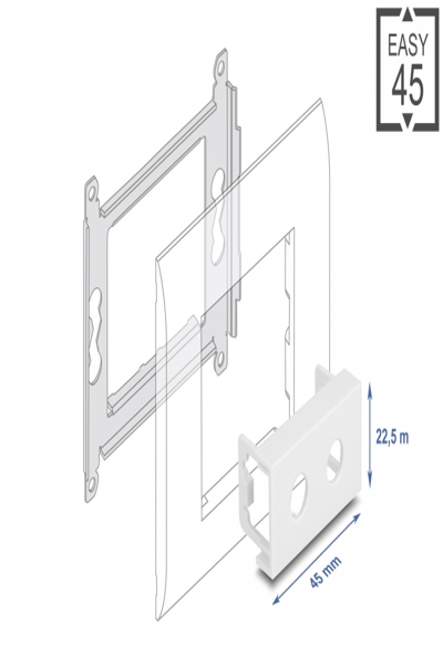 Delock Easy 45 - snap-in module - 81433
