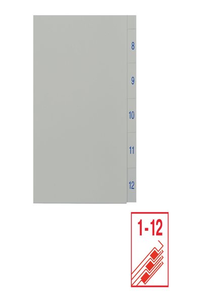 Esselte Leitz Intercalaire pré-imprimé en 12 parties 1-12