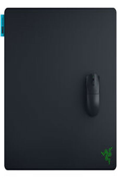 Razer Gigantus V2 Pro L - Control - RZ02-05490400-R3M1