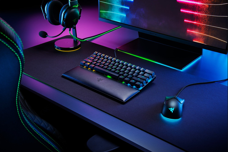 Razer Ergonomic Mini Wrist Rest Standard Edition - RC21-01720100-R3M1