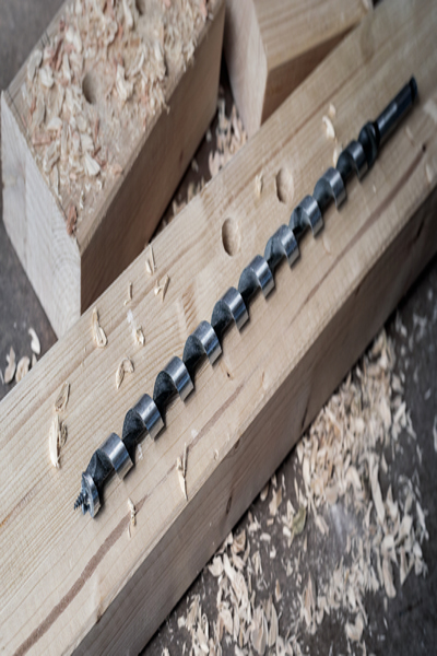 Bosch Bohrer - fÃƒÂ¼r Weichholz Hartholz - Schlangenbohrer - 30 mm - Inbus - LÃƒÂ¤nge 450
