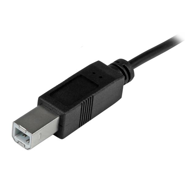StarTech.com 2m 6ft USB C to USB B Cable - USB 2.0 - USB Type C Printer Cable M/M - USB 2.0 Type-C to Type-B Cable (USB2CB2M) - USB Typ-C-Kabel - 2 m - USB2CB2M