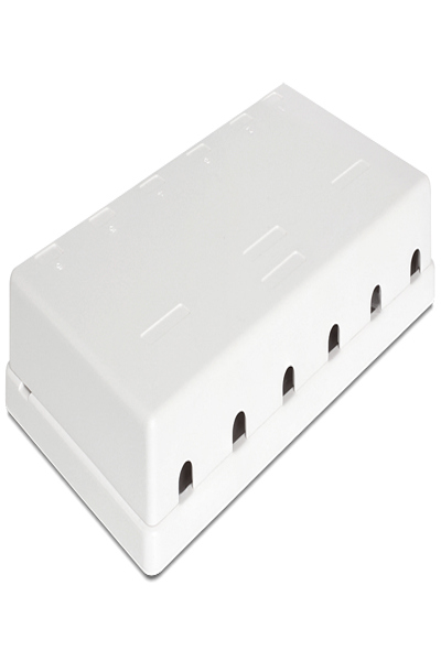 Delock Keystone ytmonterad låda - 86227
