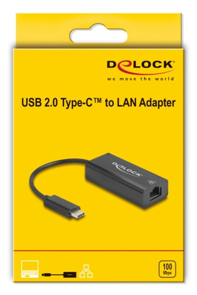 Delock USB 2.0 Type-C Adapter zu 10/100 Mbps LAN - Adapter - Digital - 64306