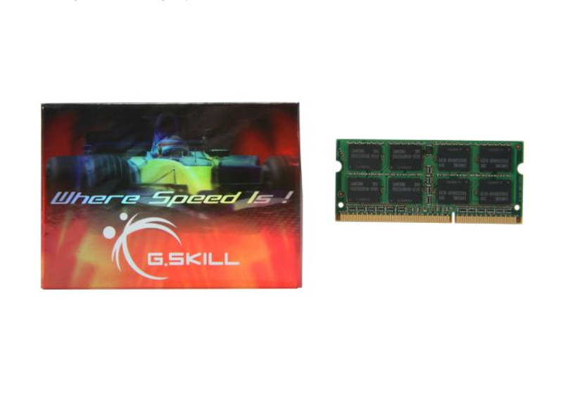 G.Skill SQ Series - DDR3 - Modul - 4 GB - F3-10666CL9S-4GBSQ