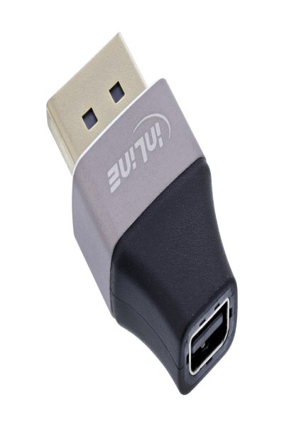 Adaptateur InLine DisplayPort 1.4 DP Stecker Mini Buchse 8K UHD 17291B - Adaptateur