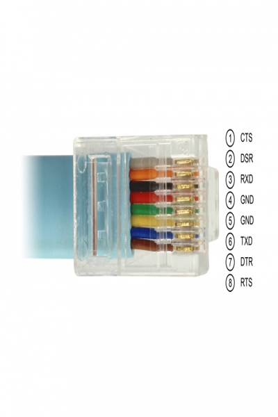 Câble série Delock - USB (M) vers RJ-45 (M)