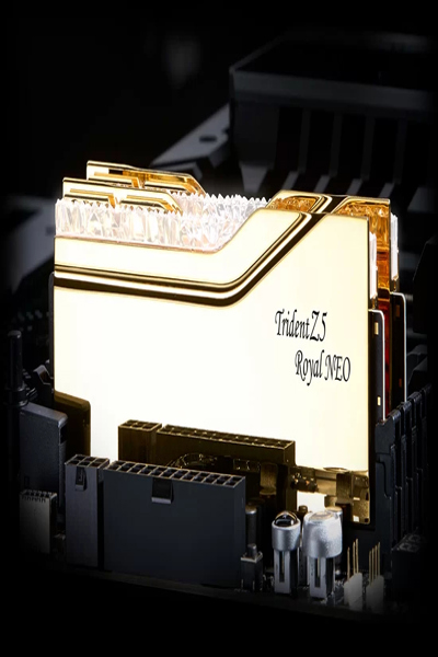 G.Skill Trident Z5 Royal Neo F5-6000J2836F24GX2-TR5NG 48GB DDR5 - F5-6000J2836F24GX2-TR5NG