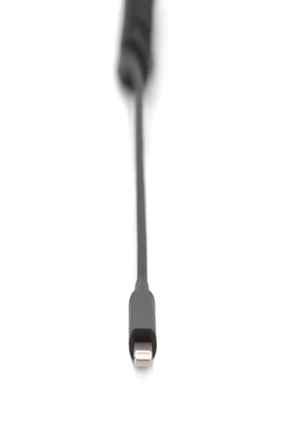 DIGITUS Lightning cable - 24 pin USB-C male to Lightning male