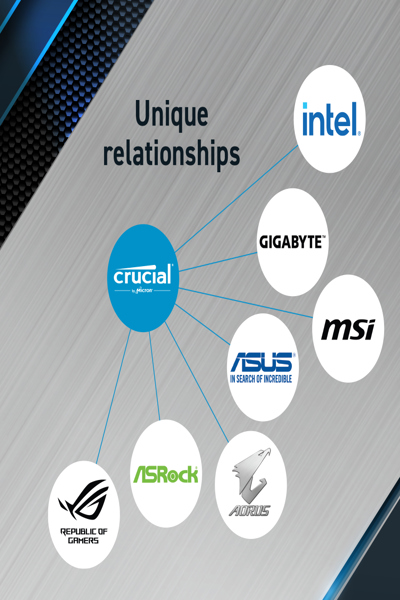 Crucial Pro - DDR5 - module - 48 GB - CP48G56C46U5