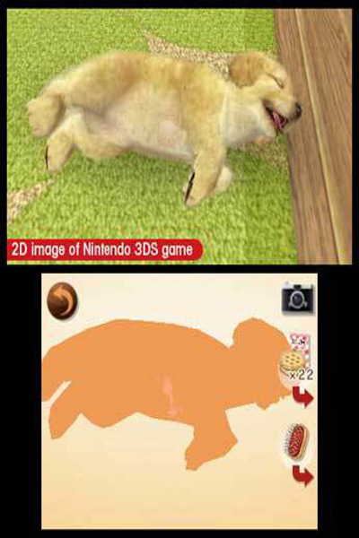 Nintendo 3DS gs Golden Retriever+ chats