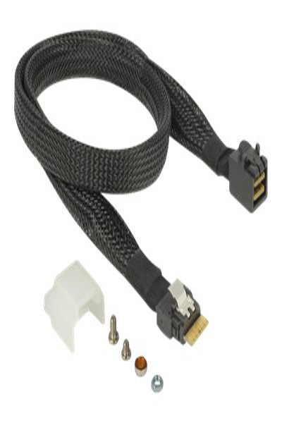 Delock U.2 SFF-8654 eller SATA-konverterare till 1 x M.2-nyckel M-kortplats - 63953