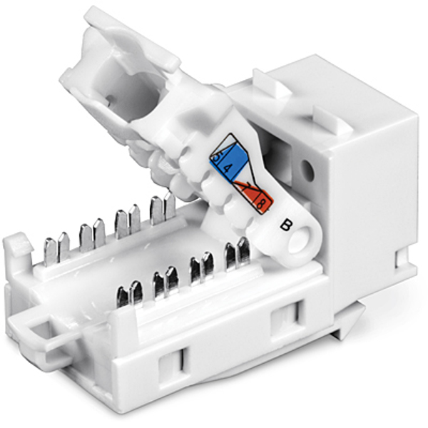 TRENDnet TRN TC-K50C6 - Keystone Module RJ45 - TC-K50C6