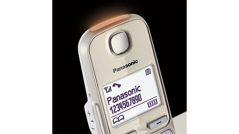 Panasonic KX-TGE250 - Cordless phone - KX-TGE250GN