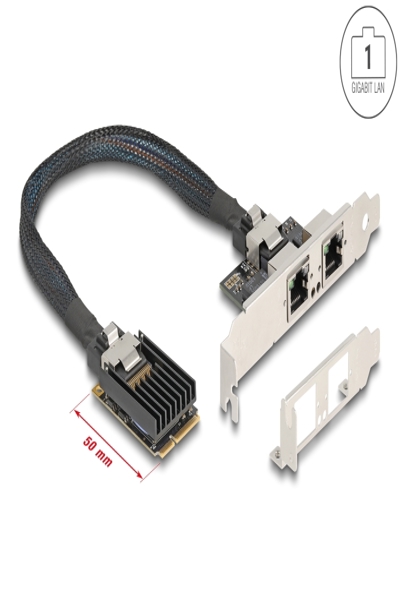 Delock 95280 Mini PCI Express to RJ-45 0.3m - 95280
