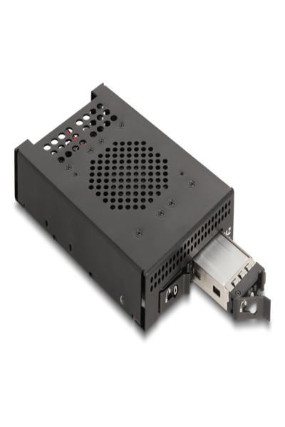 Rack mobile Delock 3,5 pouces pour 2 SSD M.2 NVMe avec connecteur Slim SAS SFF-8654, boîtier SSD, M.2, M.2, noir