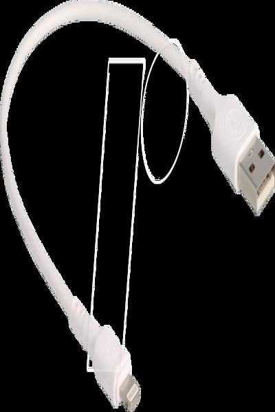 Câble Lightning Delock - USB mâle vers Lightning mâle