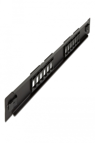 Delock Patch panel (blank) - rack mountable - 66821