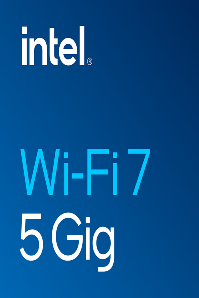 Intel Wi-Fi 7 BE200 - Network adapter - BE200.NGWG.NV