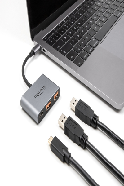 Delock USB Hub 10 Gbps mit Type-C zu 1 x+ 2 - 64337