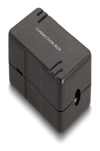 Boîtier de connexion Delock - CAT 6