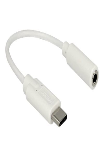 Delock Ljudadapter - 24-pin USB-C hane till mini-phone stereo 3,5 mm hona - 65913