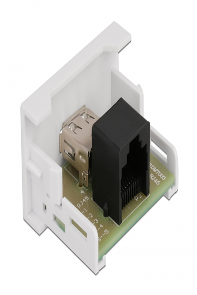 Delock Easy 45 - modules encliquetables