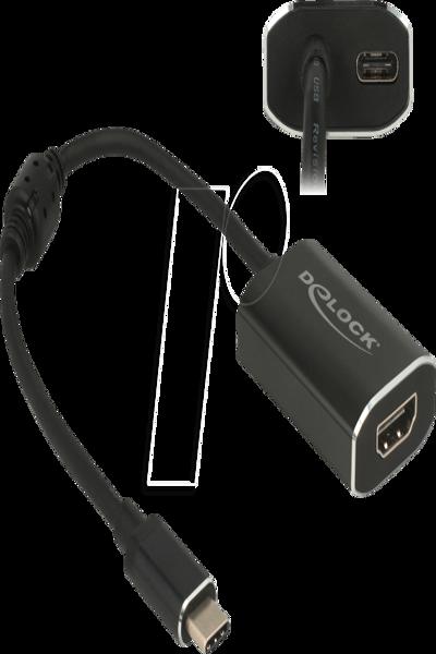 Delock Extern videoadapter - 62988
