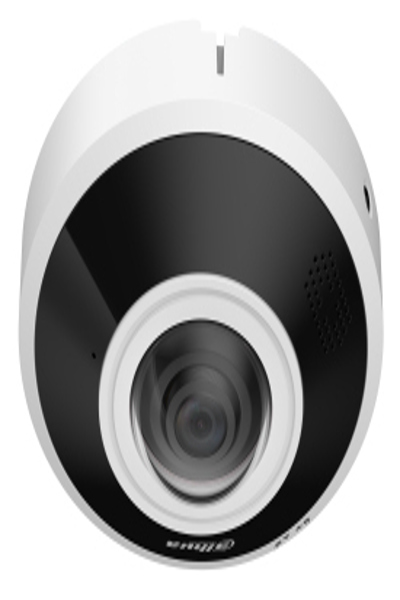 Dahua IPC-EBW5641P-AS IP Network Camera