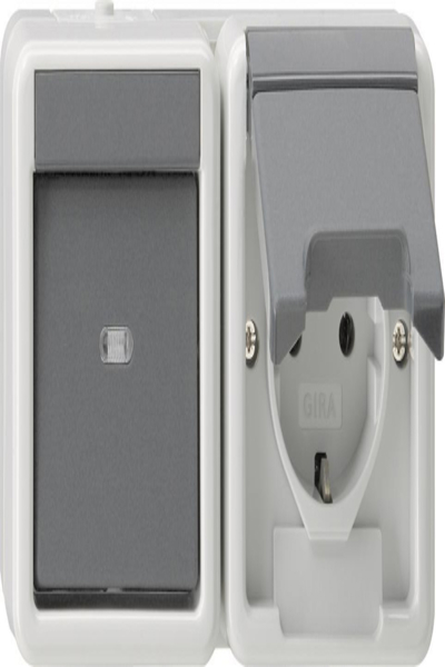 GIRA 417730 Combined Switch/SCHUKO Horizontal