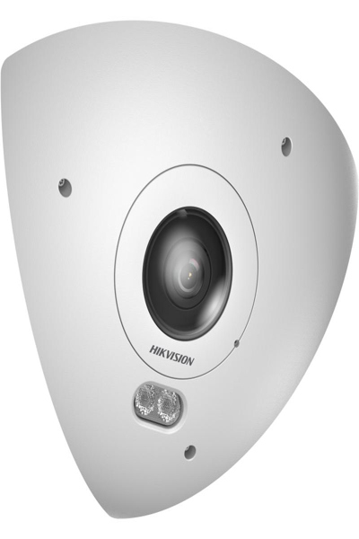 Hikvision DS-2CD6W65G1-IVS Fisheye 1,16 mm : DeepinView 6 MP