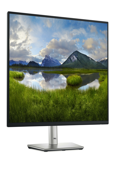 Dell P2425 24" LED-skärm - DELL-P2425